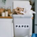 ゴミの分別：ハーグ編②紙
